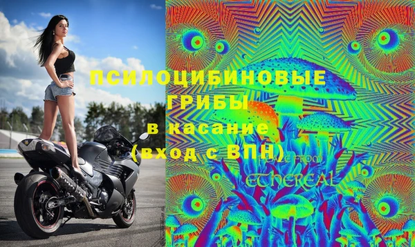 экстази Богородицк